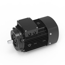 VERTICAL PUMP MOTOR